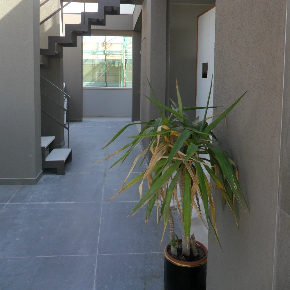 villa damone 07
